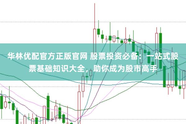 华林优配官方正版官网 股票投资必备:一站式股票基础知识大全,助你成为股市高手