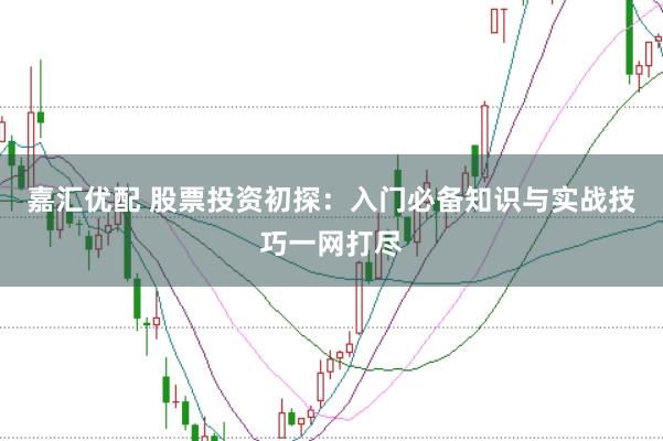 嘉汇优配 股票投资初探：入门必备知识与实战技巧一网打尽