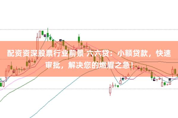 配资资深股票行业前景 六六贷：小额贷款，快速审批，解决您的燃眉之急！