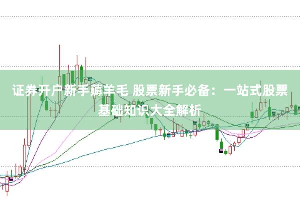 证券开户新手薅羊毛 股票新手必备：一站式股票基础知识大全解析