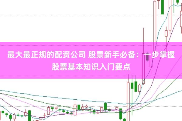 最大最正规的配资公司 股票新手必备：一步掌握股票基本知识入门要点