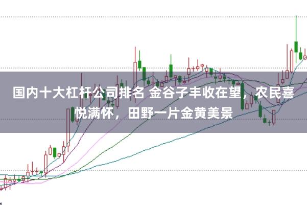国内十大杠杆公司排名 金谷子丰收在望，农民喜悦满怀，田野一片金黄美景