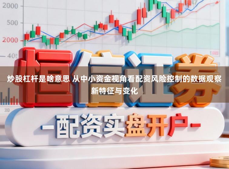 炒股杠杆是啥意思 从中小资金视角看配资风险控制的数据观察新特征与变化